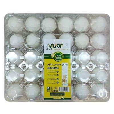 اليوم بيض بروتين (كبير) ×30